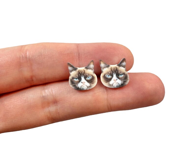 May include: A pair of small, cat-shaped earrings. Each earring features the face of a grumpy-looking cat with a brown and white coat, blue eyes, and a frown. The earrings are held against a white background.