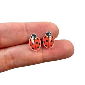 May include: A pair of ladybug stud earrings. Each earring features a red body with black spots and a black head. The earrings are small and appear to be made of a glossy material.
