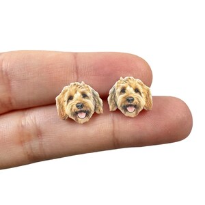 Pu&ograve; includere: Un paio di orecchini a bottone a forma di cane. Gli orecchini presentano un design dettagliato e realistico del muso di un cane, con pelo marrone e beige, una lingua rosa e un'espressione felice. Gli orecchini sono piccoli e sembrano essere fatti di un materiale leggero.