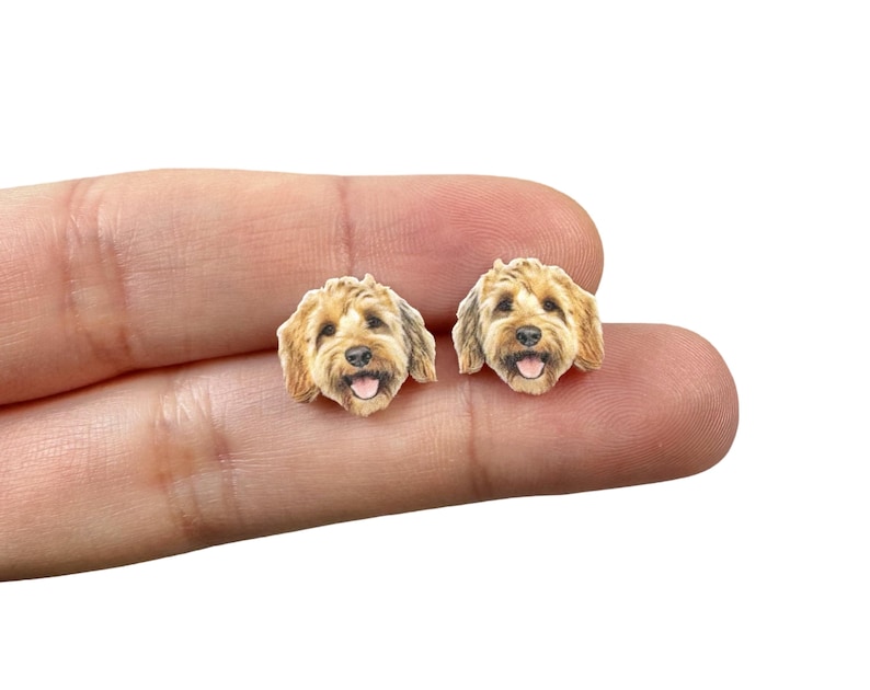 Pu&ograve; includere: Un paio di orecchini a bottone a forma di cane. Gli orecchini presentano un design dettagliato e realistico del muso di un cane, con pelo marrone e beige, una lingua rosa e un'espressione felice. Gli orecchini sono piccoli e sembrano essere fatti di un materiale leggero.