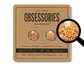 Orecchini di conchiglie di mare Orecchini di conchiglie Orecchini di stelle marine Orecchini a perno di conchiglie Post Borchie di conchiglie Borchie di stelle marine Gioielli da spiaggia Regalo non corrispondenti
