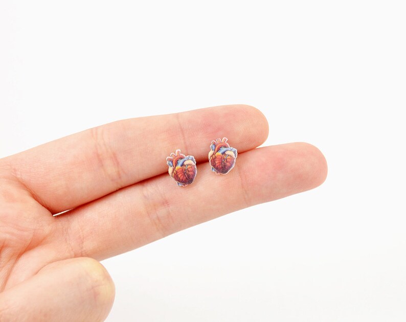 Anatomical Heart Jewelry Heart Earrings Heart Stud Earrings Etsy
