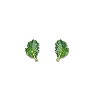 May include: Two fresh, vibrant green kale leaves with ruffled edges are displayed against a clean white background. The leaves are positioned symmetrically, showcasing their natural texture and color. The image highlights the natural beauty of the leafy greens.