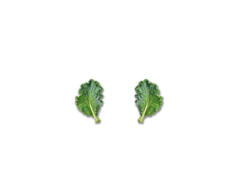May include: Two fresh, vibrant green kale leaves with ruffled edges are displayed against a clean white background. The leaves are positioned symmetrically, showcasing their natural texture and color. The image highlights the natural beauty of the leafy greens.
