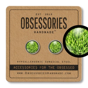 Gras oorbellen groen gras Stud Oorbellen post vers gemaaid gras sieraden gras cadeau het gras is groener waar je het water maait de grasmaaier