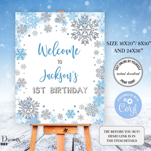 Editable Blue Snowflakes Welcome Sign, Winter Birthday Welcome Poster, Blue & Silver Snowflakes 1st Birthday Decoration B024