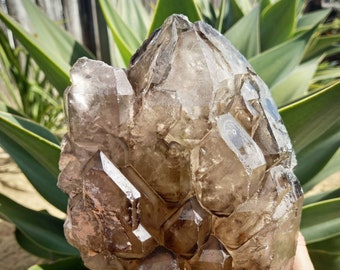 Smoky Elestial Quartz. Statement Crystal Infused with Rays of God. High Light Activations & Vibration. Smoky Quartz, Quartz Crystal.