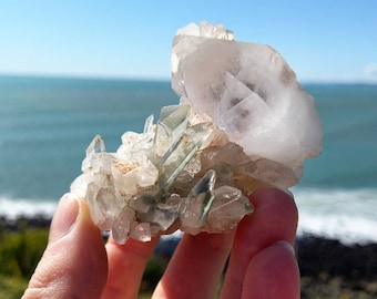 Garden Quartz With Chlorite PHANTOMS / Rare Quartz Cluster / Infused with Rays of God /  Holds Elemental Spirts / Brings Joy, Hope & Healing