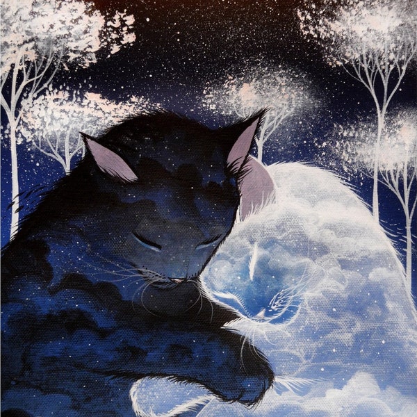 La nuit des chats nuages de Raphaël