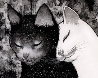 Op de afbeelding: Een zwart-witte illustratie van twee katten die knuffelen. De zwarte kat heeft een sterrenhemelpatroon op zijn vacht. De witte kat heeft een zachte, pluche uitstraling. De achtergrond is een getextureerd, abstract ontwerp.
