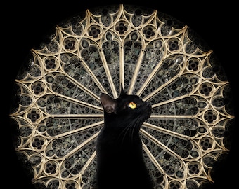 黒猫とキャットフード ヴィンテージ ステンドグラス ローウェル・エレーロ 黒猫とキャットフード ヴィンテージ ステンドグラス ローウェル