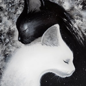 Les chats yin & yang par Raphaël