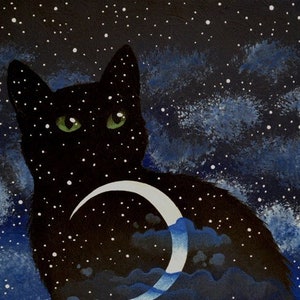 Nuit au chat par Raphaël