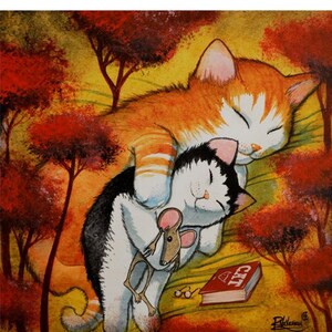 De lange nacht van de kat van Raphaël