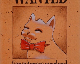 Most wanted cat by Raphaël