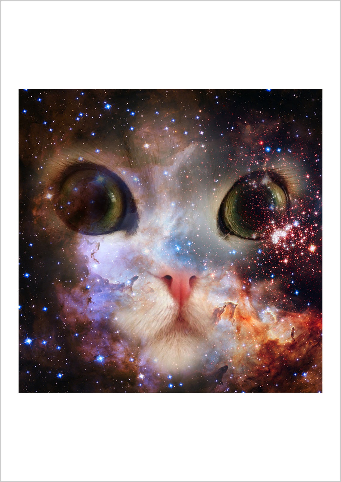 Cosmos cat Etsy