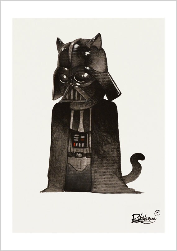 Chat Dark Vador Etsy France
