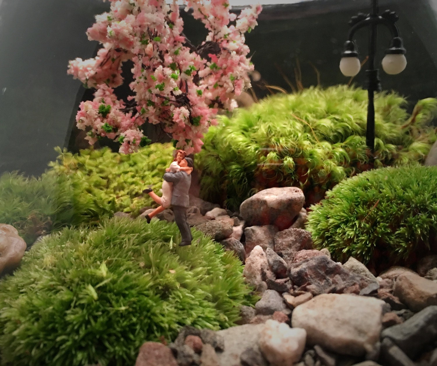 Couple Terrarium Anniversary Gift Moss Terrarium Couple Etsy