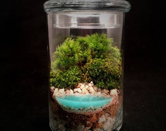 Terrarium // Beach Terrarium // Small Terrarium // Realistic Water Terrarium // Moss Terrarium // Terrarium Gift