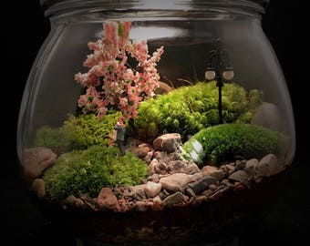 Indoor Terrarium // Couple Terrarium // Anniversary Gift // Moss Terrarium // Couple in the Park // Love Terrarium // Wedding Gift // Plant