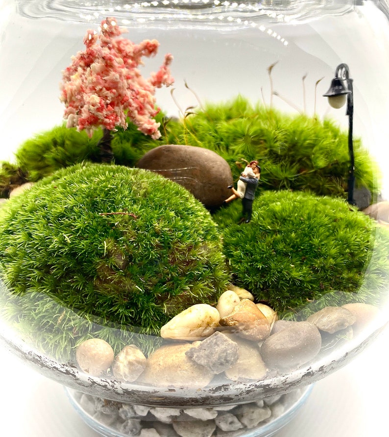 Couple Terrarium Anniversary Gift Moss Terrarium Couple Etsy