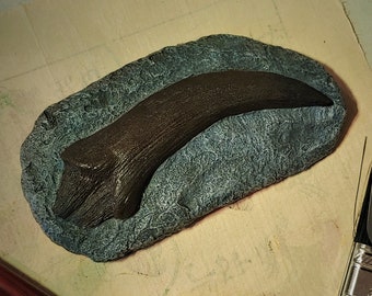 Gefossiliseerde Velociraptor-tandsculptuur: hedendaags dinosaurusdecor
