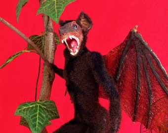 Pygmy Vampire Taxidermy