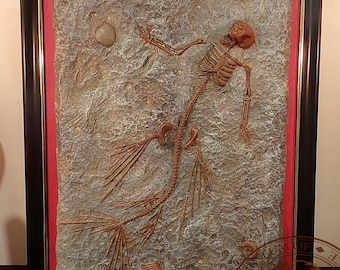 Sculptuur gefossiliseerde zeemeermin: ingelijste kunst fantasie mythisch wezen