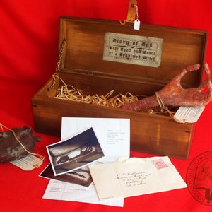 May include: A wooden box with a label that reads "Glory of God Left Hand and Heart of a Bewitched Witch." Inside the box is a brown, hand-shaped object and a brown, heart-shaped object. The box is sitting on a red surface.