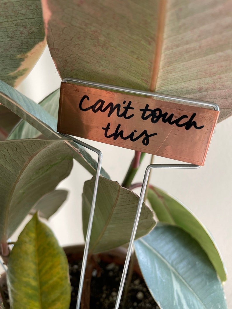 PLANT PUNS Copper Plant & Herb Tags Hand Lettered Garden Etsy