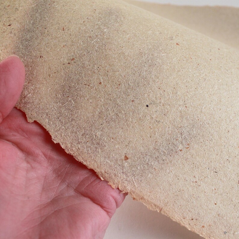 May include: A sheet of handmade paper with a rough, textured surface. The paper is a light beige color with small flecks of darker material throughout. The edge of the paper is uneven, suggesting it was torn by hand. The paper is being held up.