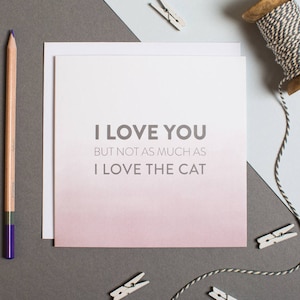 Lustige Geburtstag Karte - lustige Katzenkarte - lustige Katze Liebhaber-Karte - nicht so viel wie ich die Katze - Crazy Cat Lady Liebe-Lover - Karte für ihn Katze