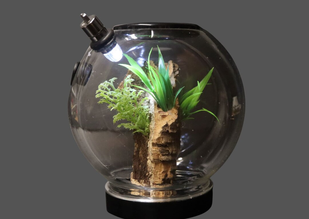 Spider Pod Enclosure With Feeding Access Decoration & LIGHT - Etsy