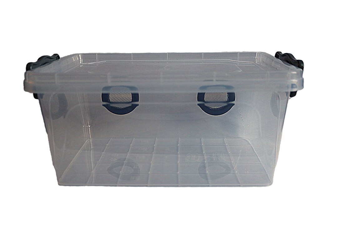 5LTR Terrestrial Insect Enclosure - Etsy