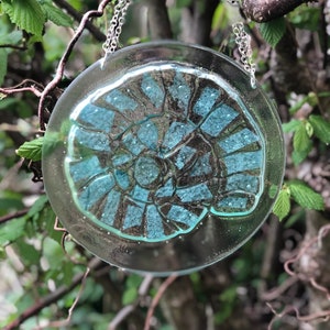 Glass Ammonite Wall Hanging With Chain - ammonite gifts, gifts for men, 60th birthday, 70th birthday, fossils, milestone birthday, ammonites