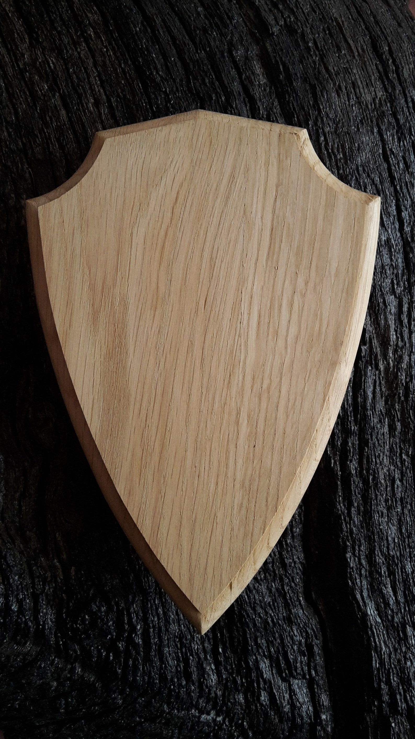 Trophy Mounting Plaque Taxidermy Wooden Shield Base Oak Wood 1 Etsy