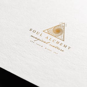 RESERVED OOAK Logo Design + Video Animation - Professional & Artistic Brand Design / One of a Kind Visual Identity - Wumi Studio image 7