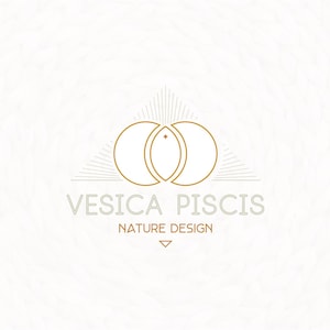 OOAK Logo Design + Video Animation - Professional & Artistic Brand Design / One of a Kind Visual Identity - Wumi Studio
