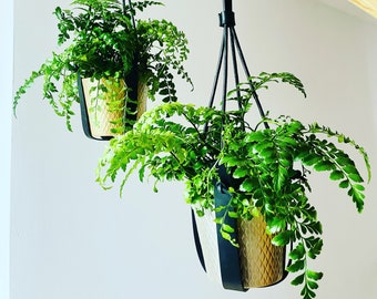 Black leather hanging pot, Ceiling planter, Plant hanger leather, Hanging planter