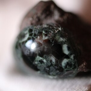 specimen greenstone chlorastrolite