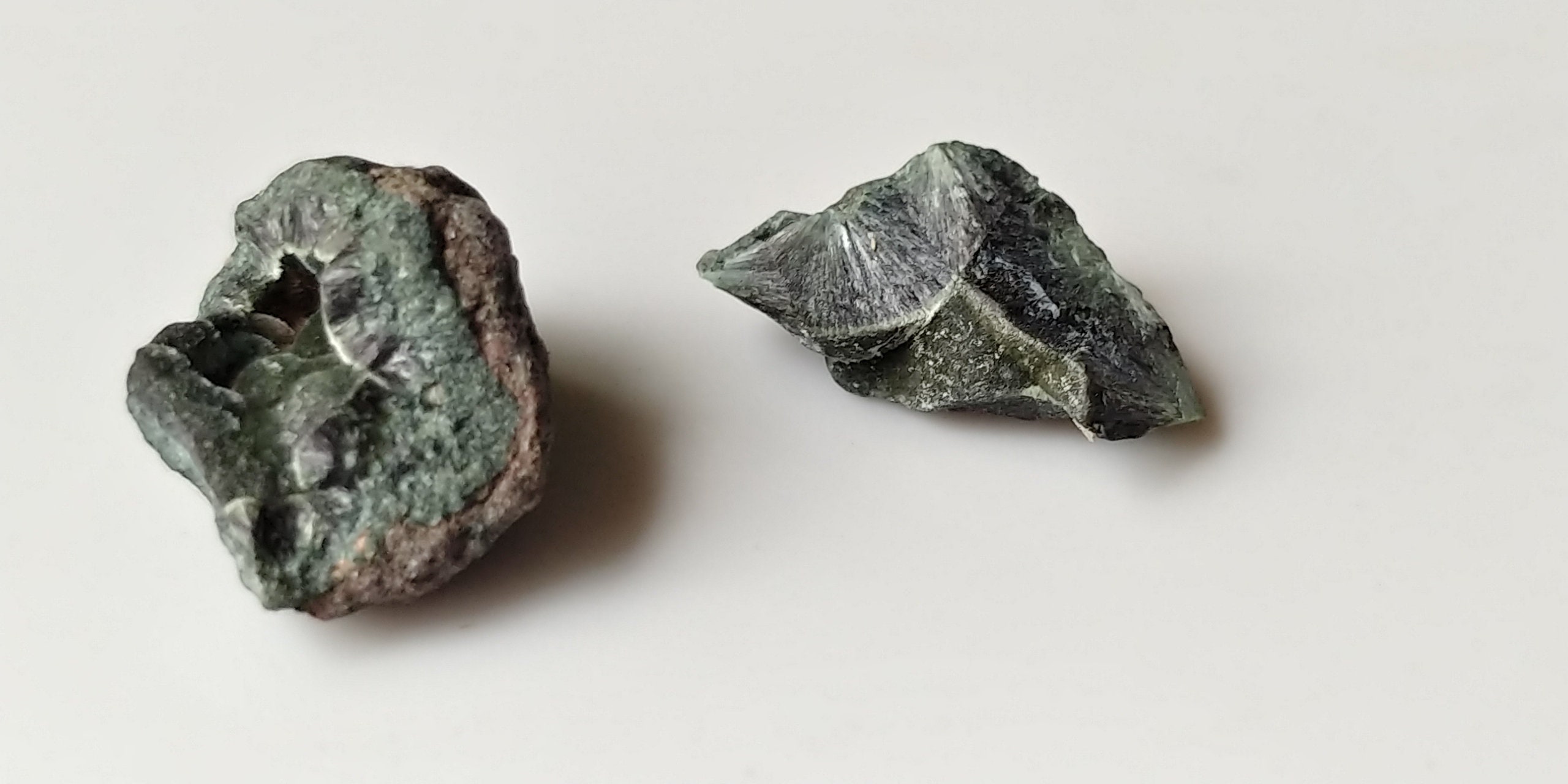 2g Raw Michigan Greenstone Rare Chlorastrolite Specimens with Etsy