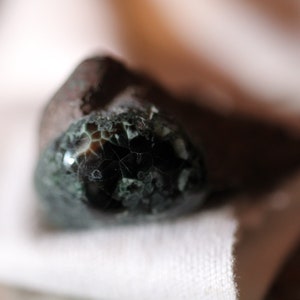 greenstone chlorastrolite