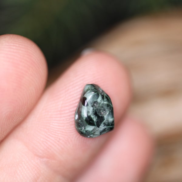 Isle Royale Greenstone Cabochon Chlorastrolite Keweenaw