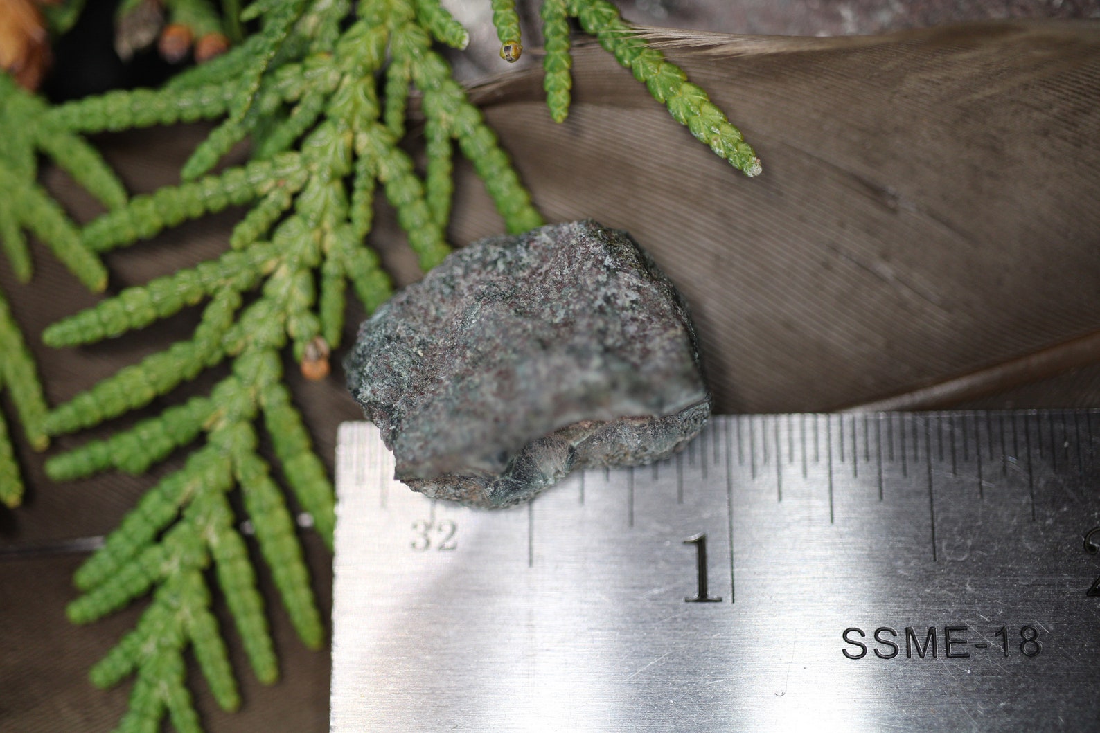 6g Isle Royale Greenstone Raw Nodule Rare Chlorastrolite - Etsy