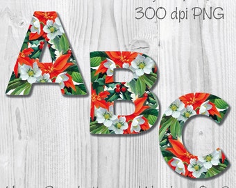 Christmas Floral Alphabet. Christmas Floral Clip Art. Upper Case Alphabet and Numbers 0 - 9. *Commercial Use Allowed.