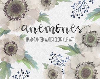 White Anemones Hand-painted Watercolour Clip Art