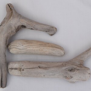 Driftwood Pieces