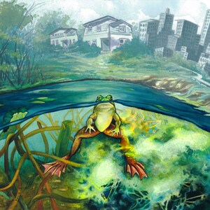 Frog Pond Original Watercolor Painting