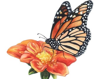 Monarch Butterfly Fine Art Print of Watercolor Painting