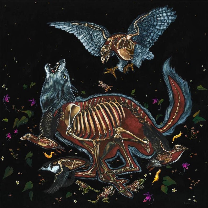 Boreal Forest Fine Art Print of Watercolor and Gouache Painting with Wolf, Goshawk, Slugs, Murrelet, Vole, Orchid, Toad, Sundew